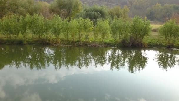 Vuelo sobre el pequeño lago — Vídeos de Stock