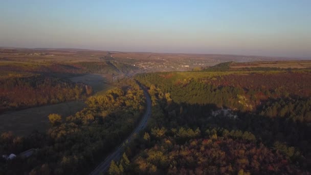 Vista Aérea Estrada Através Floresta Outono Filmagem — Vídeo de Stock