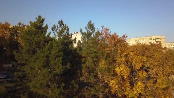 Luftaufnahme der Herbststadt — Stockvideo