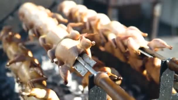 Cerca de cocinar barbacoa codorniz pájaro — Vídeos de Stock