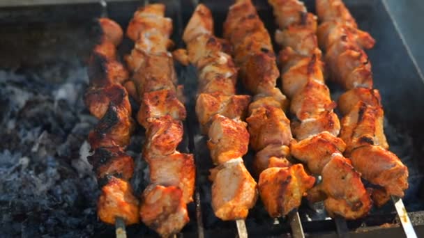 Barbecue With Delicious Grilled Meat On Grill — Stock Video