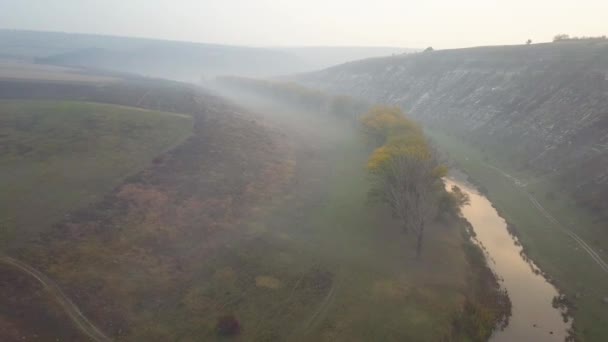 Hermoso Amanecer Sobre Río Área Rural Niebla Sobre Pequeño Río — Vídeos de Stock