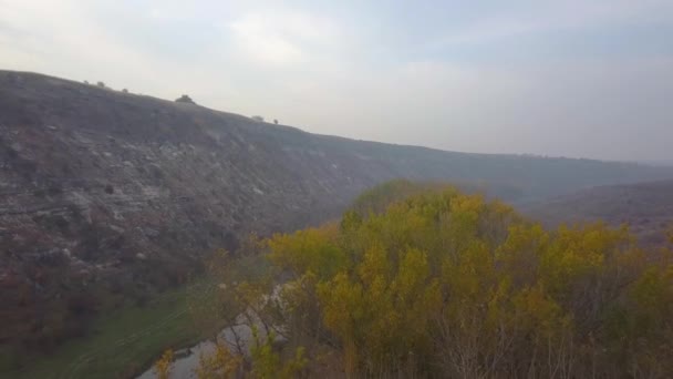 Bella Alba Sul Fiume Nella Zona Rurale Nebbia Sul Piccolo — Video Stock