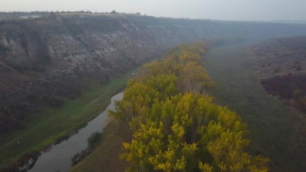 Mooie Sunrisw Rivier Landelijk Gebied Mist Riviertje Landschap Van Bergen — Stockvideo