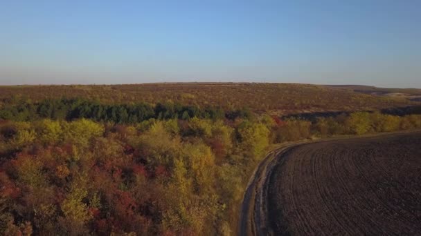Vista Aérea Voando Sobre Clareira Campo Colhido Meio Floresta Outono — Vídeo de Stock