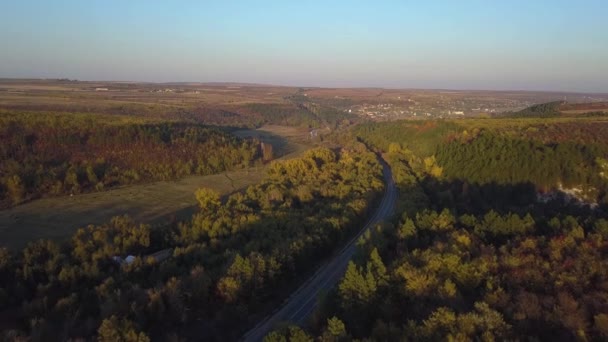 Vista Aérea Estrada Através Floresta Outono Filmagem — Vídeo de Stock
