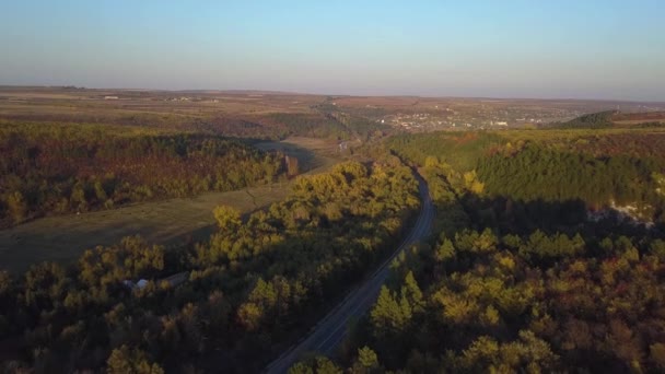 Luchtfoto Van Weg Door Val Bos Beeldmateriaal — Stockvideo