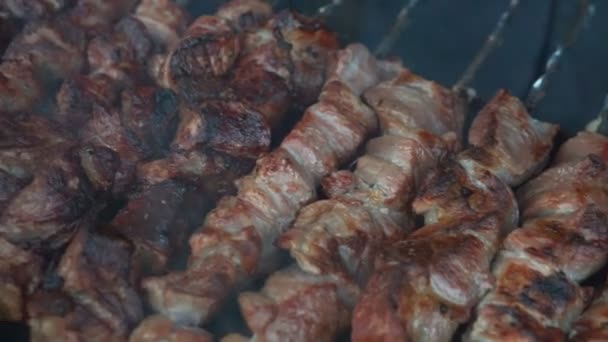 Churrasco Com Deliciosa Carne Grelhada Grelha Festa Churrasco Pedaços Carne — Vídeo de Stock