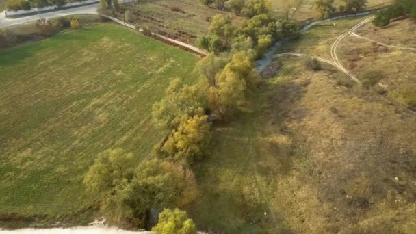 Vue Aérienne Par Drone Vol Dessus Paysage Automnal Petite Rivière — Video