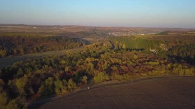 4 k hava manzara üzerinde uçan alan glade sonbahar ormanın ortasında hasat