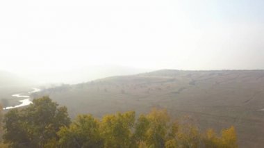 Sonbahar sezonu parlak turuncu sarı kırmızı renk hava görünümü helikopter dron ormanda. Yaban hayatı.