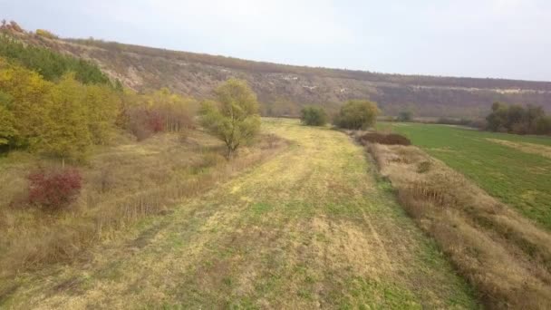 飞越附近的田野附近的农村 秋季景观 — 图库视频影像