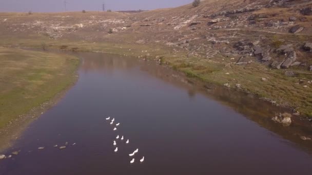 Güneş Yansımaları Ile Nehir Üzerinde Güzel Uçuş — Stok video