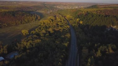 Havadan görünümü ile yolun orman düşmek. 4 k görüntüleri.