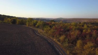 4 k hava manzara üzerinde uçan alan glade sonbahar ormanın ortasında hasat