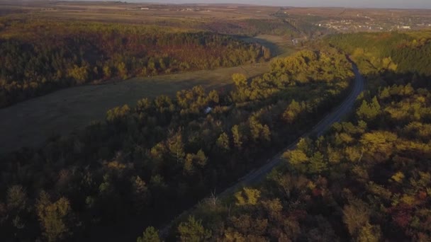 Luchtfoto Van Weg Door Val Bos Beeldmateriaal — Stockvideo