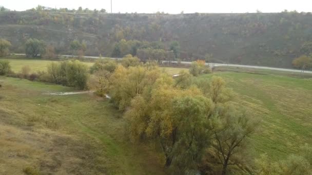 Survol Une Petite Rivière Entourée Arbres Entourée Arbres Automne — Video