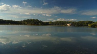 sazlık ve ağaçlar arasında göl manzarası. Sonbahar manzara. Steadicam atış.