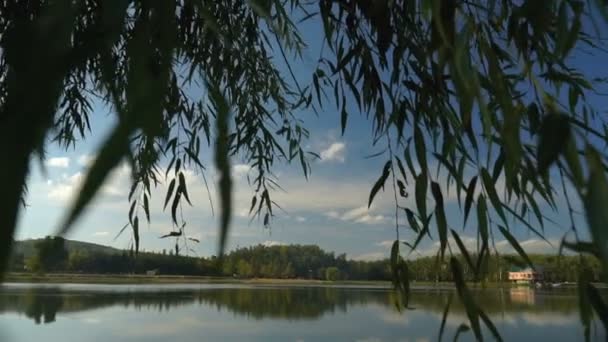 호수의 풍경입니다 Steadicam — 비디오