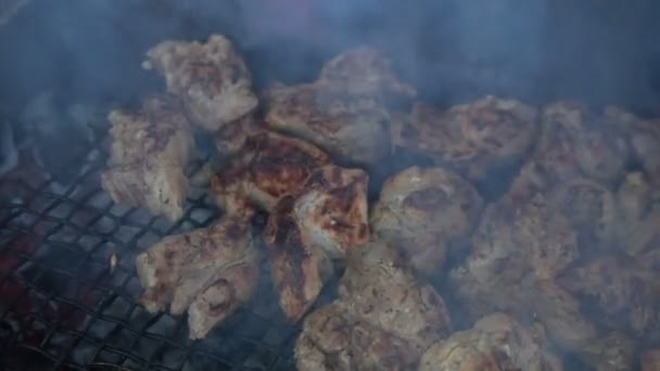 Grill Mit Leckerem Grillfleisch Auf Dem Grill Grillparty Hühnerfleischstücke Die — Stockvideo