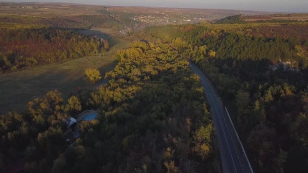 Luchtfoto Van Weg Door Val Bos Beeldmateriaal — Stockvideo