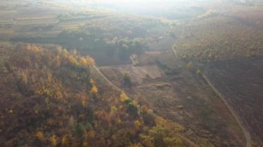 Sonbaharda bir ormanın üzerinde insansız hava aracı uçuşu muhteşem sonbahar renklerini gözler önüne seriyor.