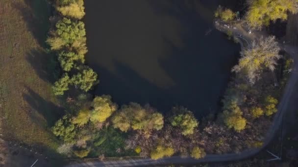 Політ Над Маленьким Озером Осінній Пейзаж — стокове відео
