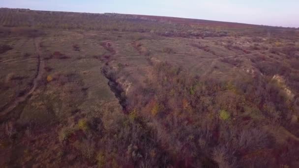 Vlucht Herfst Heuvels Met Bossen Zacht Licht Herfst Landschap Mooi — Stockvideo