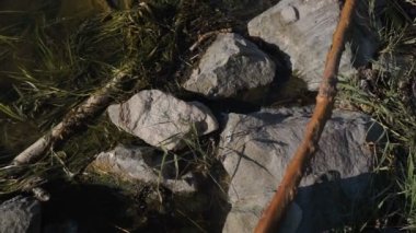 su closeup taş. göl kıyısı, su ve hafifçe dalgalar günbatımı yansıma.