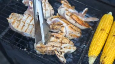 Barbekü ızgara lezzetli ızgara et ile. Barbekü partisi. Bir kömüre kızarmış tavuk et parçaları ızgara .