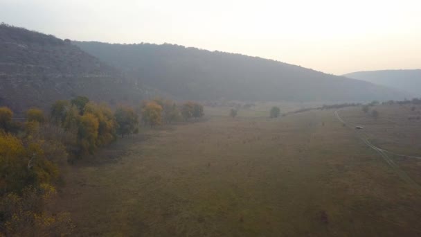 美丽的阳光在河在农村地区 小河上的雾 山风景 — 图库视频影像