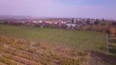 sonbaharda, uçağın shot bağ üzerinde uçuş