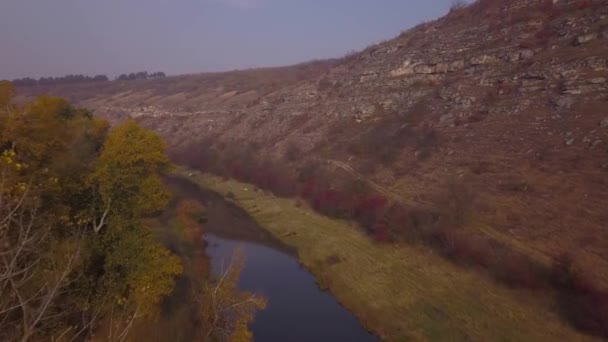 Gyönyörű Sunris Folyó Vidéki Területen Köd Kis Folyón Hegyek Táj — Stock videók