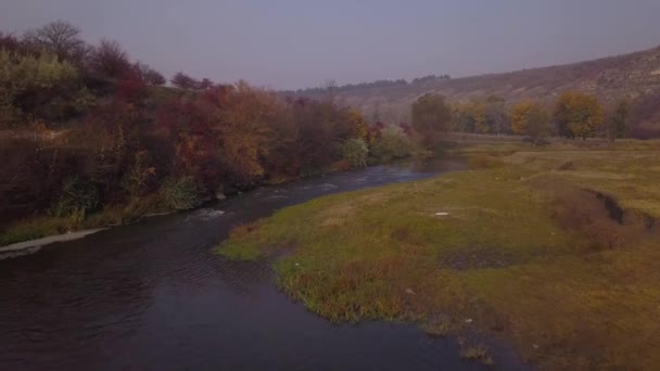 Vista Aérea Del Dron Vuelo Sobre Paisaje Otoñal Pequeño Río — Vídeos de Stock