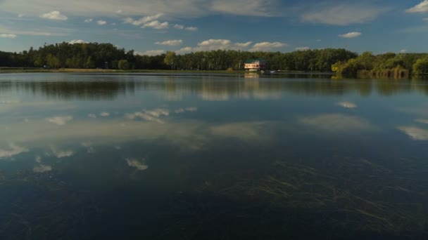 Vista Del Lago Entre Las Cañas Los Árboles Paisaje Otoñal — Vídeo de stock