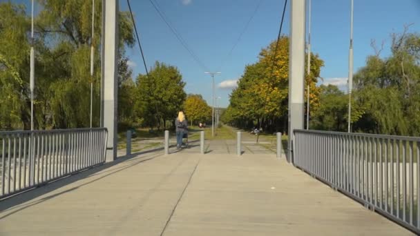 Cámara camina sobre un puente — Vídeo de stock