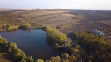 Küçük bir göl üzerinde uçuş. Sonbahar manzara