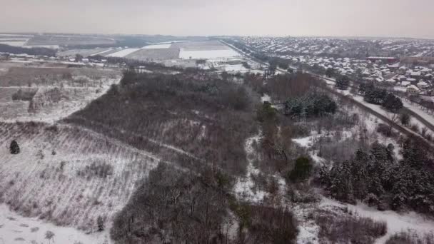 Volo Sopra Natura Villaggio Foresta Innevata Paesaggio Rurale Volo Sul — Video Stock