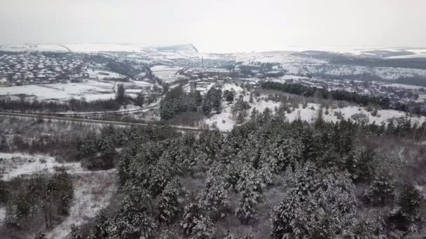 雪に覆われた森の空撮は 雪で覆われました 冷凍雪モミや松の木の森の上空を飛行します — ストック動画