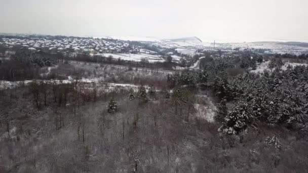 Drohnenaufnahme Der Straße Idyllischer Winterlandschaft Straße Läuft Aus Der Vogelperspektive — Stockvideo