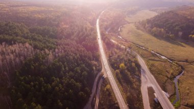 Havadan görünümü ile yolun orman düşmek. 4 k görüntüleri.