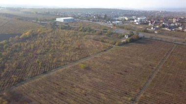 sonbaharda, uçağın shot bağ üzerinde uçuş