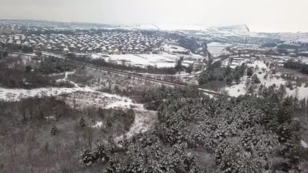 雪に覆われた森の空撮は 雪で覆われました 冷凍雪モミや松の木の森の上空を飛行します — ストック動画