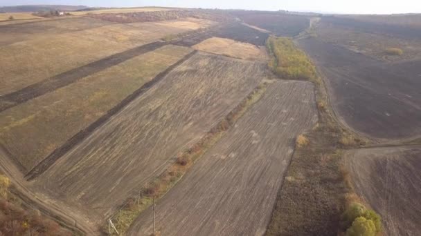 Ein Flug Über Bestellte Felder Licht Der Herbstsonne — Stockvideo