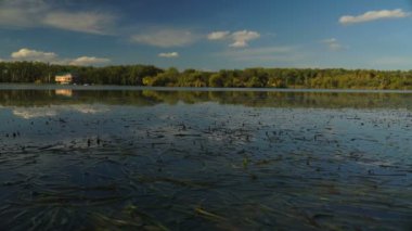 sazlık ve ağaçlar arasında göl manzarası. Sonbahar manzara. Steadicam atış.