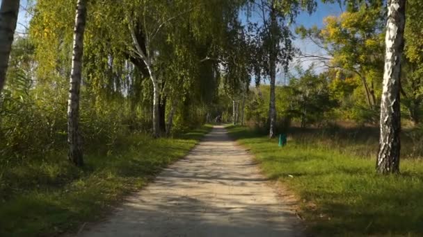 相机在公园里移动到稳定的地方 五颜六色的秋天风景 — 图库视频影像