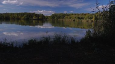 sazlık ve ağaçlar arasında göl manzarası. Sonbahar manzara. Steadicam atış.