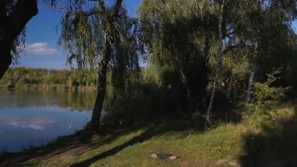 葦や木の間で湖の眺め 秋の風景です ステディカム ショット — ストック動画