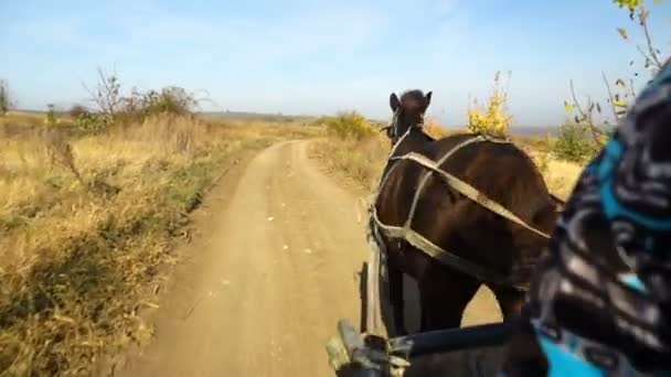 村の道路を前に 馬のカートビュー スタディカムが撃たれた — ストック動画