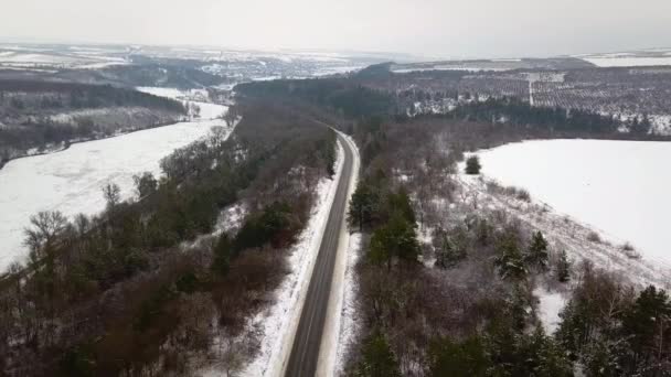 Achtergrond Auto Ontwerp Abstract Boom Zomer Natuur Winter Weg Antenne — Stockvideo